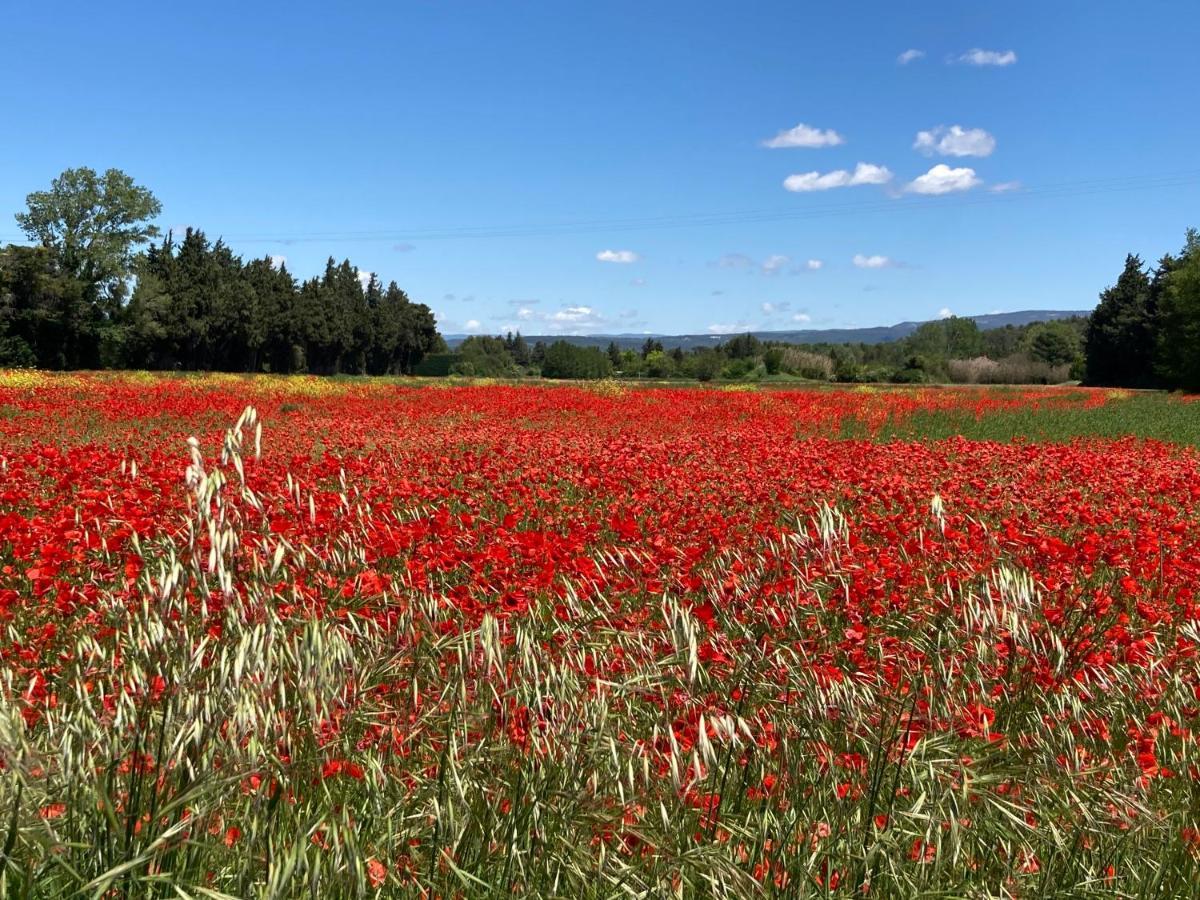 Ilot Coquelicot - Parking Gratuit Securise - Ac Clim - Ascenseur - Balcon Appartement LʼIsle-sur-la-Sorgue Buitenkant foto
